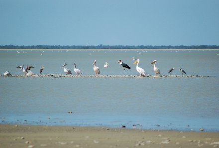 Botswana Familienreise - Botswana for family individuell - Nata Bird Sanctuary