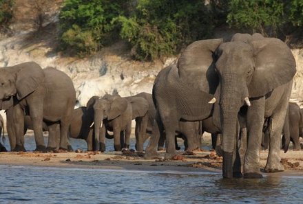 Botswana Familienreise mit Kindern - Botswana Fly-In-Safari individuell - Elefanten