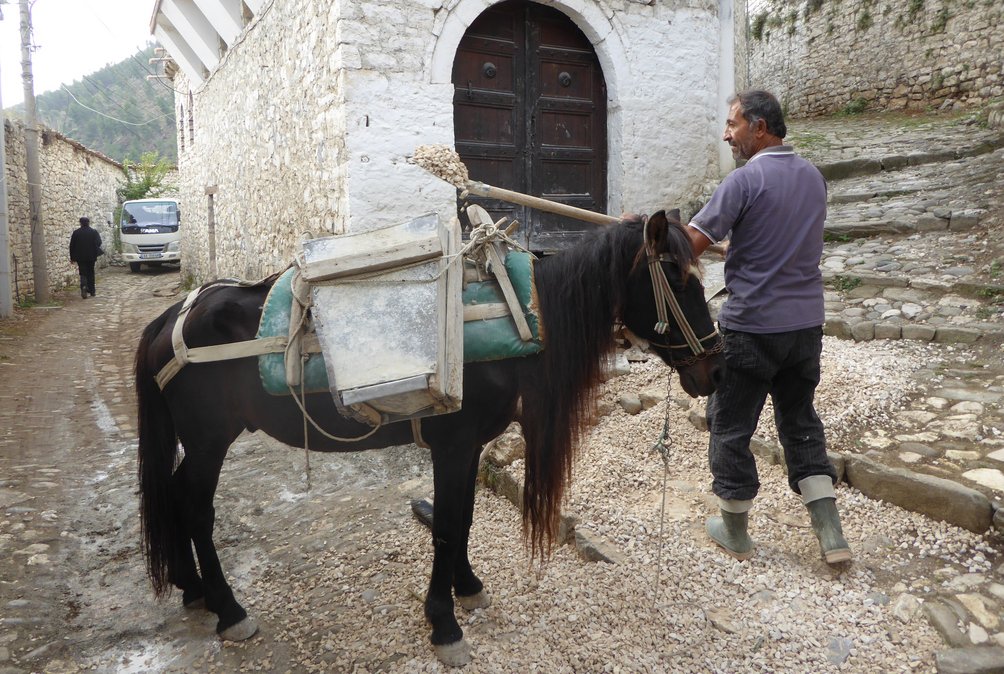 Albanien Familienreise - Mann belädt Pferd