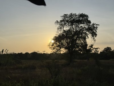 Sri Lanka Familienreise mit Kindern - Sonnenuntergang im Nationalpark - Bewertung