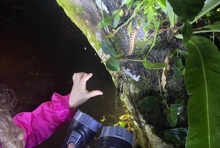 Costa Rica Familienreise mit Kindern - Costa Rica for family individuell - Nachtwanderung