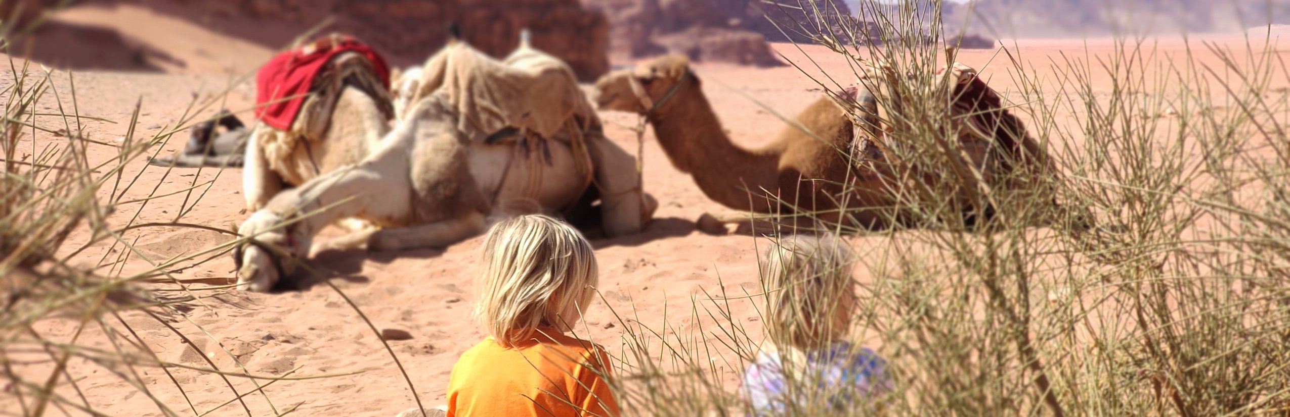 Reisebericht Jordanien Rundreise mit Kindern