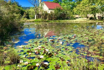 Garden Route for family individuell - Forest Edge Nature Lovers Retreat - Außenanlage