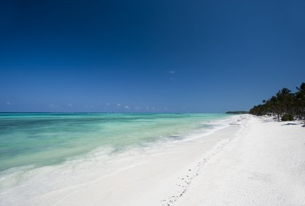 Tansania mit Kindern individuell - Tansania for family deluxe - Sansibar Strandverlängerung - Karafuu Beach Resort - Weißer Sandstrand