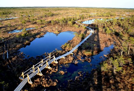 Baltikum for family - Kemeri Nationalpark - Natur