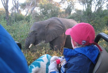 Familienreise Südafrika - Südafrika for family - Elefanten beobachten