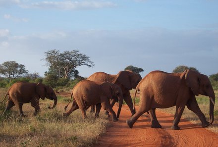 Kenia Familienreise - Kenia for family individuell - Tsavo Ost Nationalpark - Elefanten