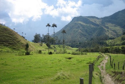 Kolumbien Familienreise - Kolumbien Family & Teens individuell - Cocora Tal