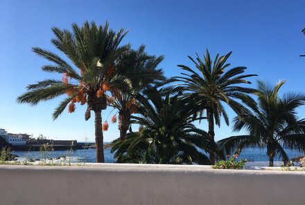 Teneriffa Familienurlaub - Teneriffa for family - Puerto de la Cruz - Blick aufs Meer und Palmen - blauer Himmel