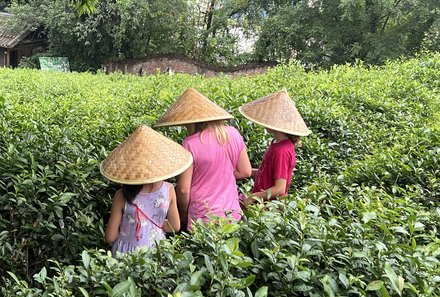 China mit Kindern - China for family - Kids auf Teeplantage in Guilin