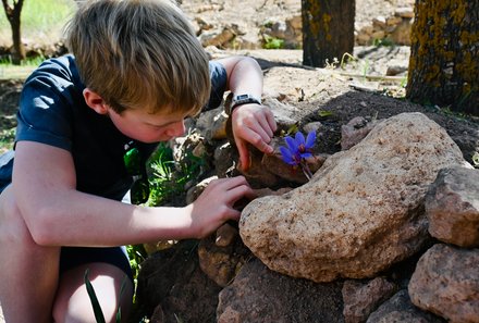 Marokko mit Kindern - Marokko for family - Kind entdeckt Safran