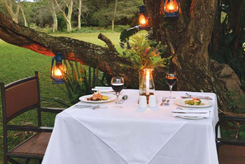 Südafrika Familienreise - Südafrika Family individuell - Falaza Game Park & Spa - Dinner draußen