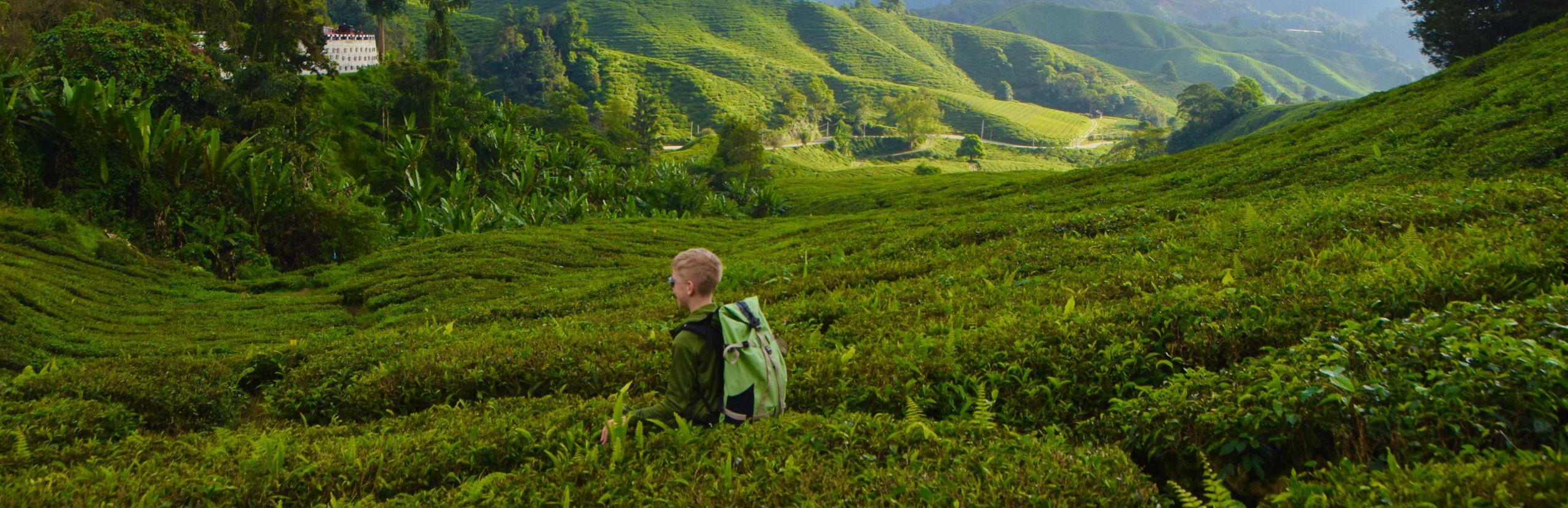 Malaysia Familienurlaub - Malaysia Familienreise - Kind in den Cameron Highlands