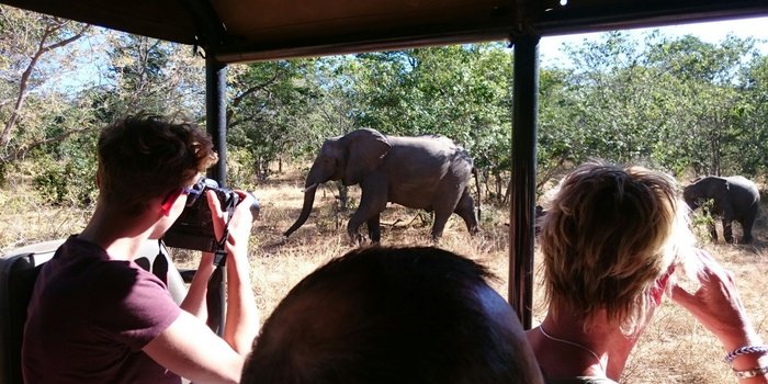 Botswana mit Jugendlichen - Botswana Reise mit Jugendlichen Erfahrungen - Jugendliche während einer Safari