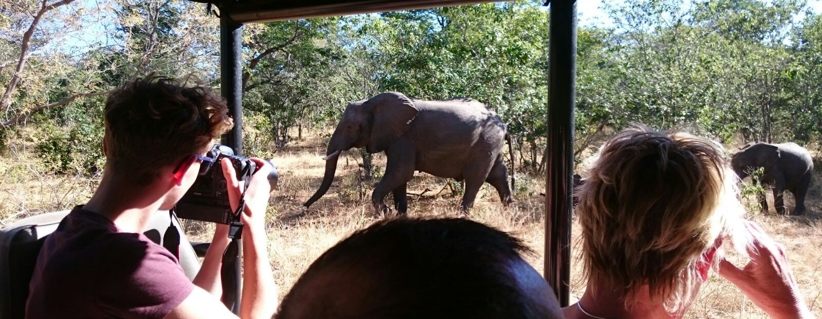 Botswana mit Jugendlichen - Botswana Reise mit Jugendlichen Erfahrungen - Familie schießt Fotos während Safari