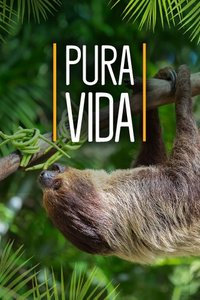 Costa Rica Reisen mit Kindern