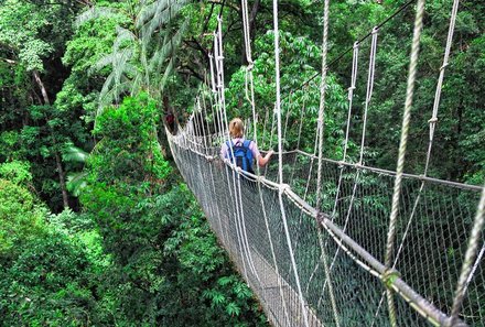 Malaysia mit Teenagern - Hängebrücke im Taman Negara Nationalpark