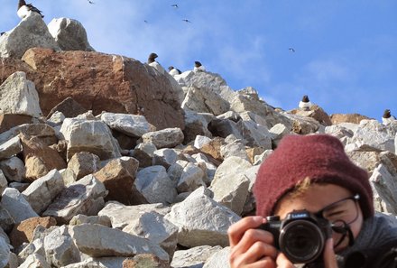 Familienreise Arktis - Arktis Reise mit Jugendlichen - Tiere fotografieren