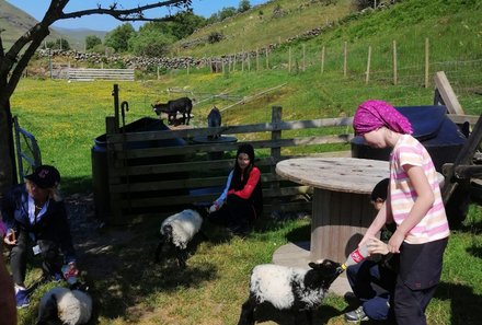 Irland Familienreise - Irland for family - Besuch einer Bergfarm - Kinder füttern Schafe
