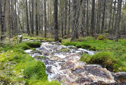 Finnland mit Kindern - Finnland Urlaub mit Kindern - Familienurlaub Finnland - Fluss