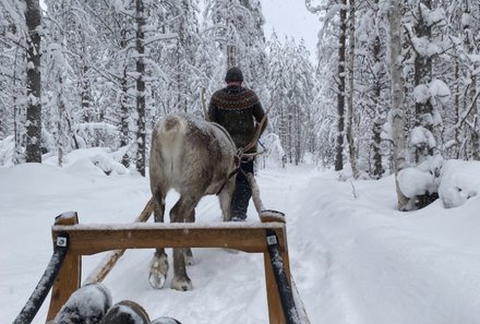 Finnland Familienurlaub - Finnland for family Winter - Rentierschlittenfahrt