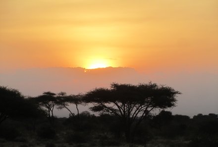Serengeti mit Kindern individuell - Best of Familiensafari Serengeti - Sonnenuntergang