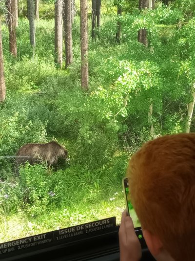 Westkanada for family - Bewertung - Kind im Zoo