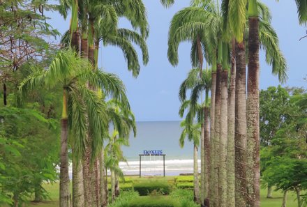 Malaysia Family & Teens - Familienreise Malaysia - Nexus Resort & Spa  - Palmengarten