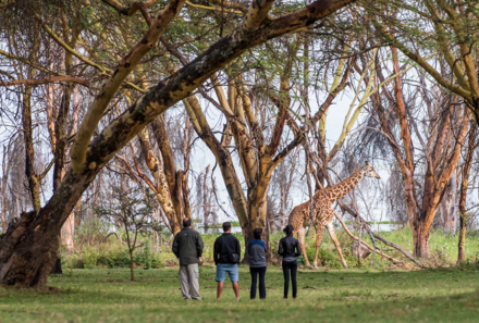Kenia Familienreise - Kenia for family individuell - Hell´s Gate Nationalpark - Tierbeobachtungen im Garten der Lodge