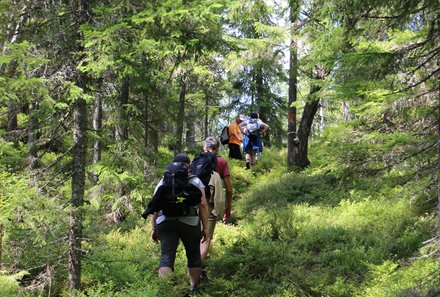 Familienreise Schweden - Schweden for family - Wanderung