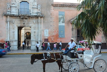 Mexiko Familienreise - Kutsche