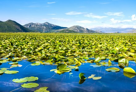 Familienreise Montenegro - Montenegro mit Kindern - Skadar See Berge