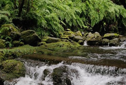 Madeira mit Kindern - Madeira for family - Wasserlauf beim Levada Walk