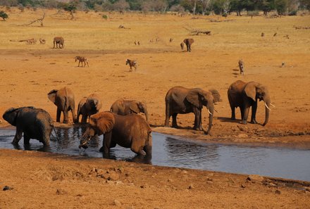 Kenia Familienreise - Kenia for family individuell - Safari