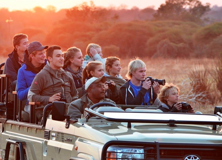 Safari mit Kindern - Gruppe beobachtet Tiere