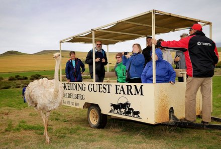 Afrika Familienreise - Afrika for Family - Skeiding Guest Farm Tour