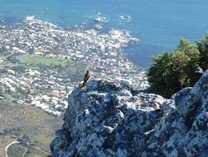 Familienreise Garden Route - Südafrika Family & Teens - Kapstadt - Tafelberg