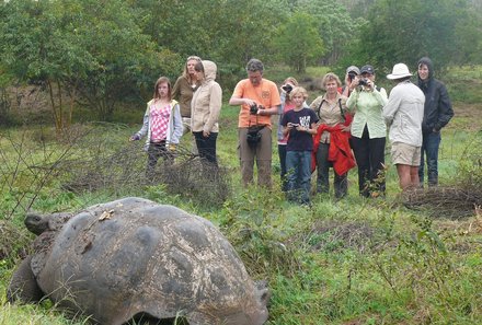 Vorstellung der Bestseller-Familienreisen - Galapagos mit Jugendlichen - Riesenschildkröte