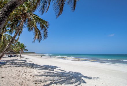 Kenia Familienreise - Kenia Family & Teens - Palme am Sandstrand