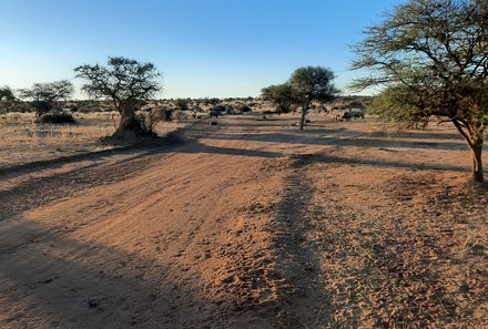 Namibia Familienurlaub - Namibia Family & Teens - Otjiwa Safari Lodge - Sunset Drive - Umgebung der Lodge