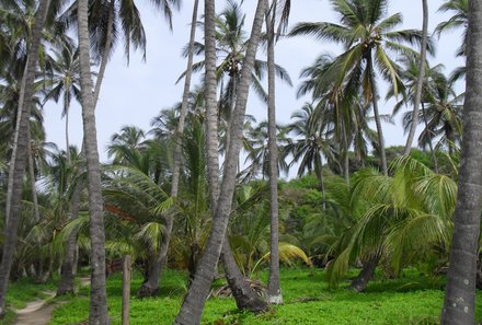 Kolumbien mit Kindern - Kolumbien for family - Tayrona Nationalpark