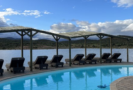 Familienreise Garden Route - Garden Route for family - Pool Buffels Drift Game Lodge