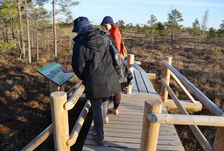 Baltikum for family - Kemeri Nationalpark - Wanderung