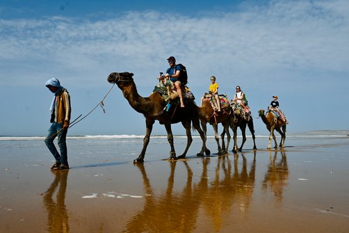 Marokko for family individuell - Erfahrungen mit Kindern in Marokko - Reitausflug Dromedare Küste