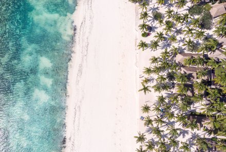 Tansania Familienreise - Tansania Family & Teens - Sansibar - Palmengesäumter Strand