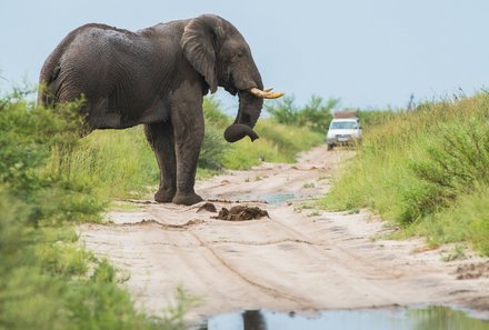 Namibia Familienreise - Namibia for family individuell - Elefant
