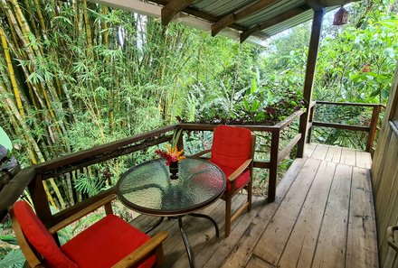 Familienreise Galapagos und Ecuador - Galapagos Family & Teens - Hakuna Matata Amazon Lodge - Terrasse