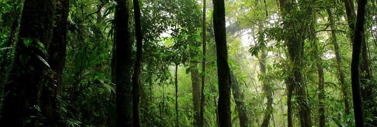 Costa Rica nachhaltig auf einer Familienreise erkunden - La Tigra