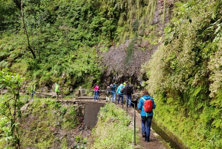 Madeira mit Kindern - Ausflüge & Reisetipps Madeira mit Kindern - Familien auf Levada Wanderung