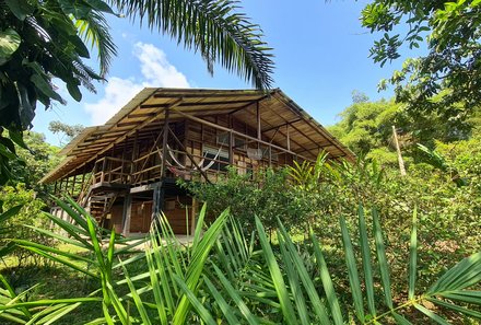 Familienreise Galapagos und Ecuador - Galapagos Family & Teens - Hakuna Matata Amazon Lodge - Lodge